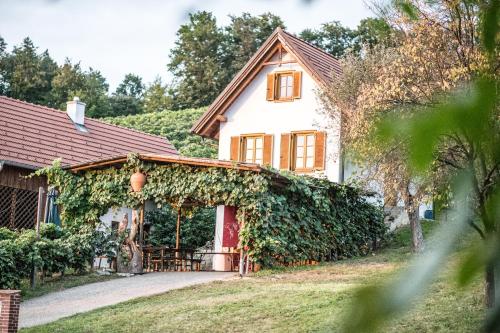 Viesnīcas āriene, WIENER Kellerstöckl - Das 13er (WIENER Kellerstockl - Das 13er) in Eltendorf