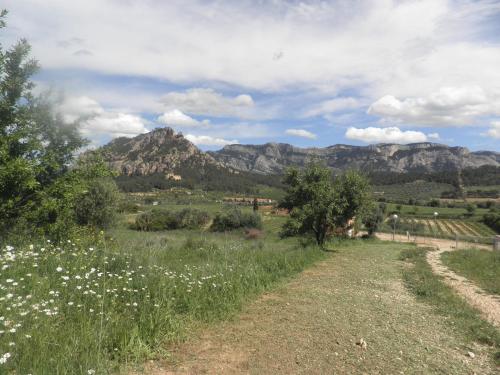  Hostal Casa Barcelo in Horta de San Joan