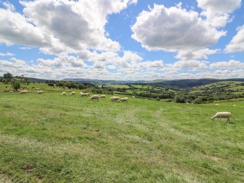 Hillside View Rhayader - image 3