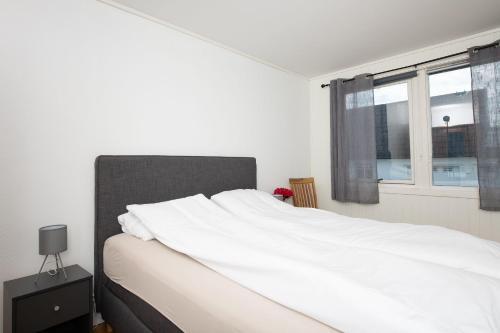 Apt 102 - Andenes Whale Safari Apartments, Andenes (fotografie 5)