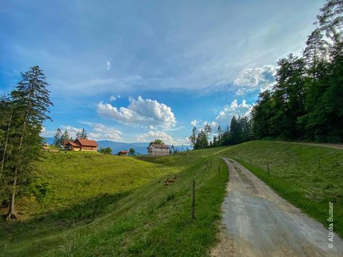 外觀, Domačija KOHOVO (Domacija KOHOVO) in 波霍列山區洛夫倫茨