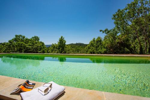 Peldbaseins, Location prestige 450 m2 dans Château en Provence (Location prestige 450 m2 dans Chateau en Provence) in Brue-Auriac