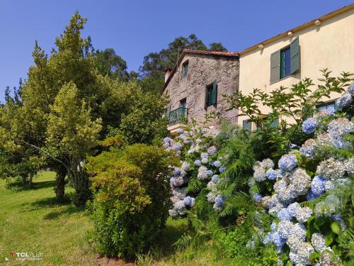 O Lughar Dabaixo Fogar Natural gîte à louer Lantarou