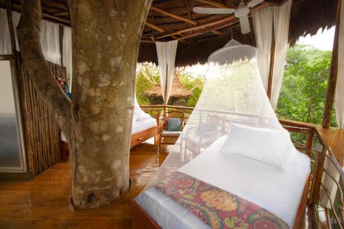 Treehouse Lodge