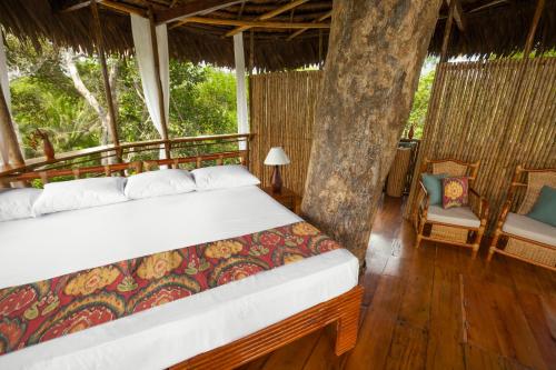 Treehouse Lodge