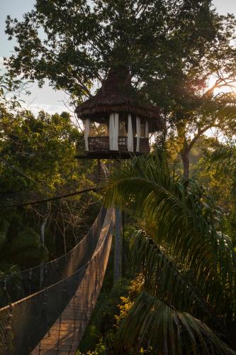 Treehouse Lodge