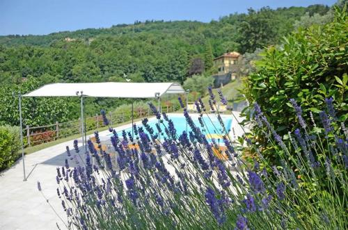  Villa Mario, piscina privata,aria cond,immersa nel verde,campagna Toscana in Pistoia