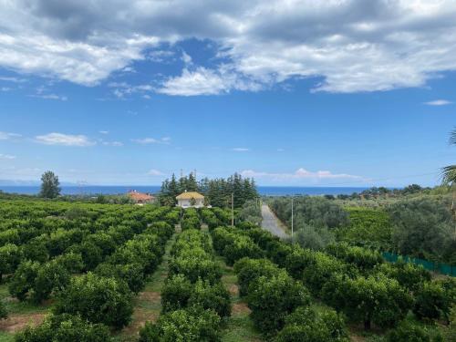 Agriturismo San Francesco - Hotel - Rossano Stazione