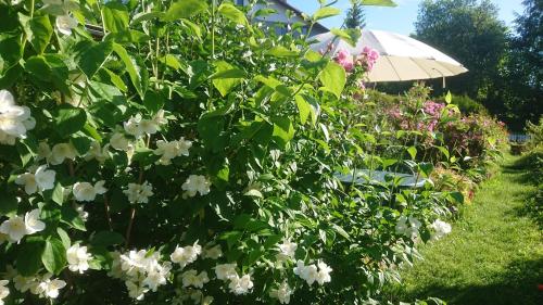 Apartmany u Lipno