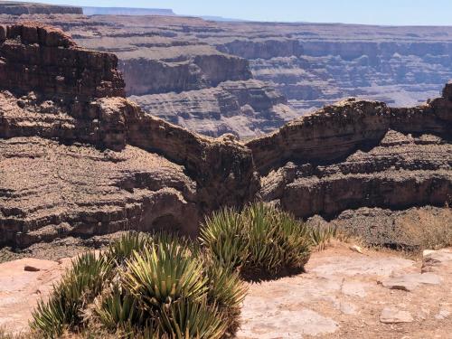 Cabins at Grand Canyon West