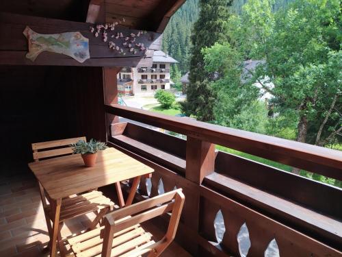 NEGRITELLA NEGRITELLA