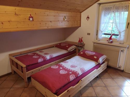 NEGRITELLA NEGRITELLA