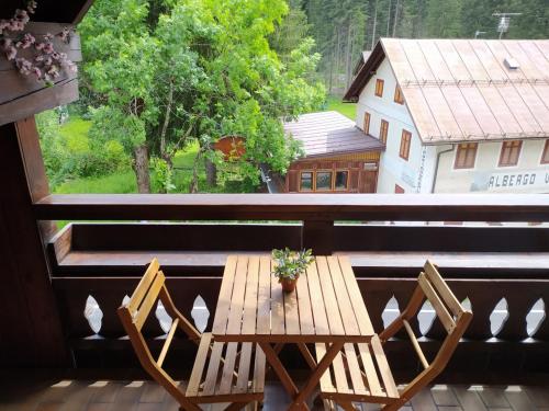 NEGRITELLA NEGRITELLA