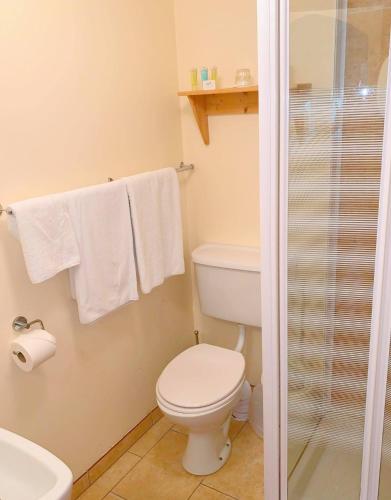 Redclyffe Guesthouse - image 8