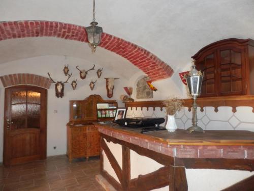 Zamecek Zdiky - Zamecky apartman in Jindrichuv Hradec