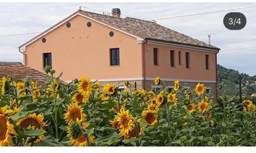 La dolce vita, Porto Recanati