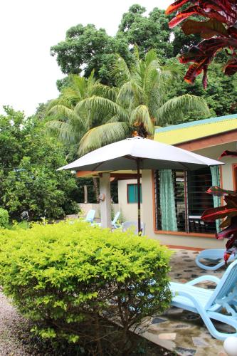 بيل ديس إيليس بيل ديس إيليس