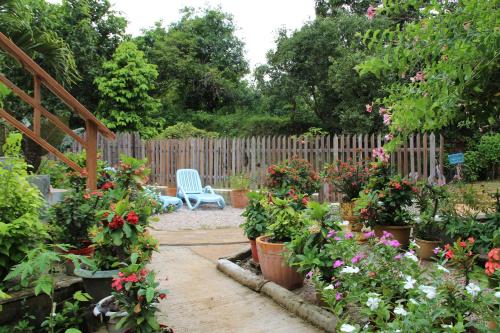 بيل ديس إيليس بيل ديس إيليس