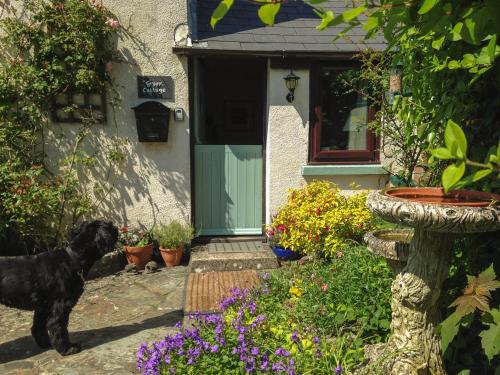 Groom Cottage Bude - image 2