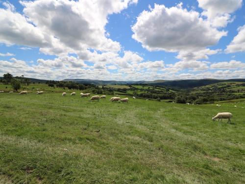 Shepherd's View - image 7
