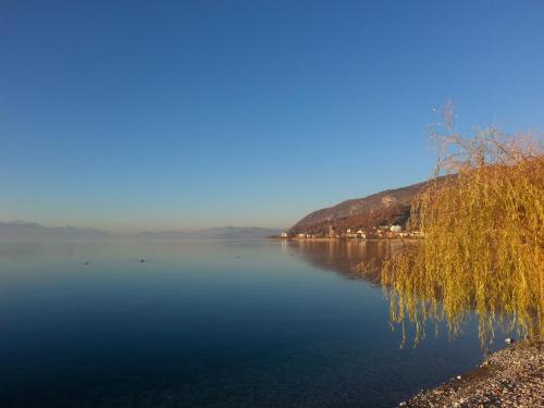 Accommodation in Peštani