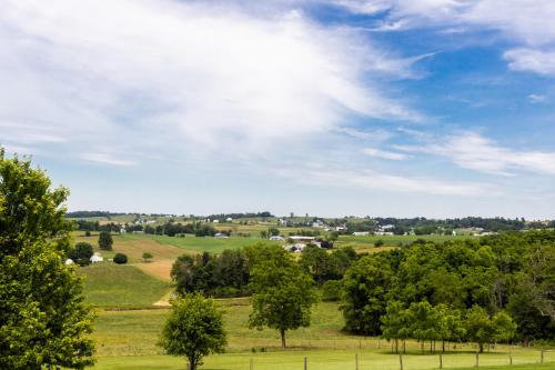 Hillside Inn - image 14