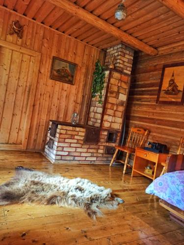 Еко Садиба Під Полониною in Sasivka