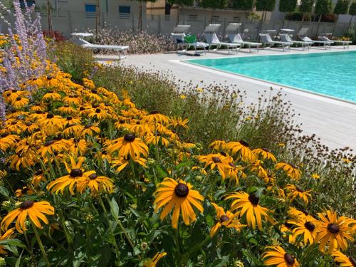 Homingarda - fine holiday apartments - Apartment - Peschiera del Garda