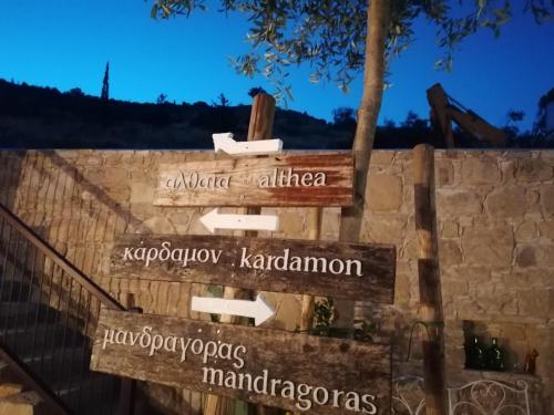CASAVERO, Voroklini (foto 6)
