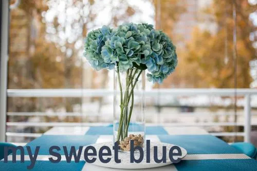 My Sweet Blue Apartment photo 2