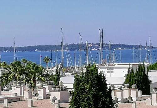 Appartement 1 pièce Golfe Juan Front de mer