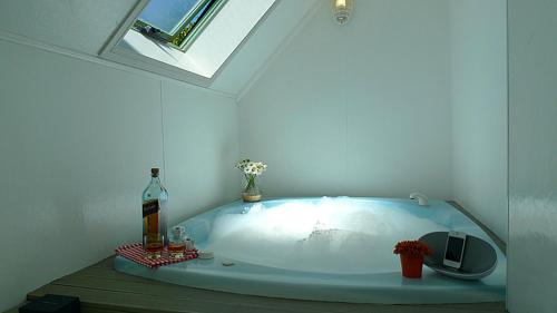 Rotorua Coachman Spa Motel - image 5