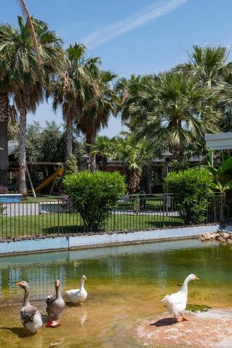 Hotel San Luca - image 6