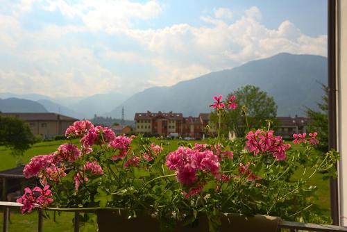 lioelara, Feltre (foto 6)
