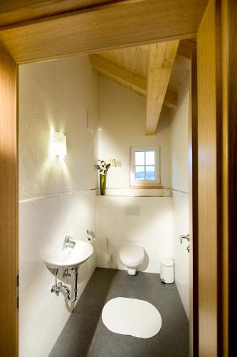 AlpenChalet Mitterberg - main image