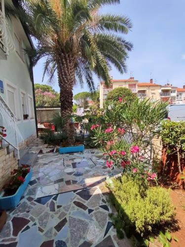 المنظر الخارجي, Apartments Azalea, Umag in Umag