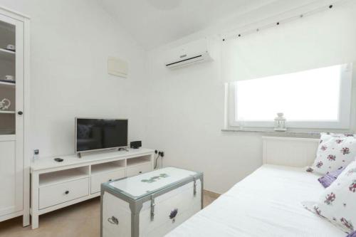 Jagacic apartments (2+2) + rent a bike