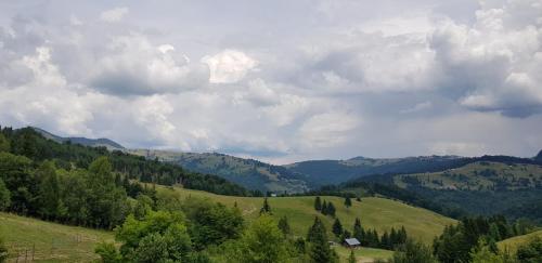 Pensiunea Zana Muntilor
