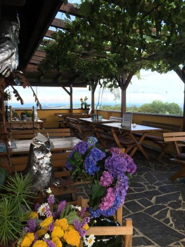 沃姆-卢克尔宾馆 沃姆-卢克尔宾馆