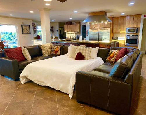 TV-392 - The Vineyard Estate - main image