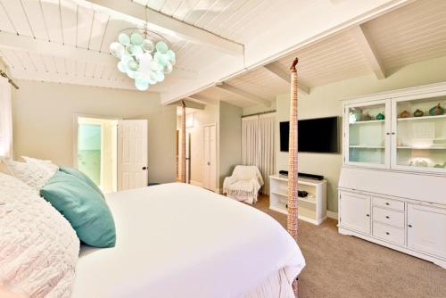 DP-295 - Big Beautiful Capo Beach House - image 7