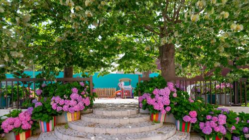 D. Afonso Hotel & SPA - image 11