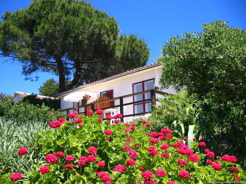 La Fourmi du Levant gîte à louer Port-Cros