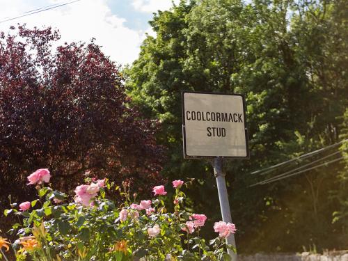 . Coolcormack Stud B&B
