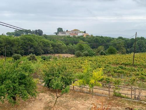  Cal Mag farmhouse in Guardiola de Font-rub in La Guardiola