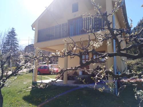 . Dedinje