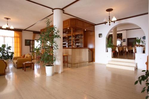 酒吧/高級酒吧, 天堂酒店 (Hotel Paradise) in 瓦西里亞斯 - 費特利亞