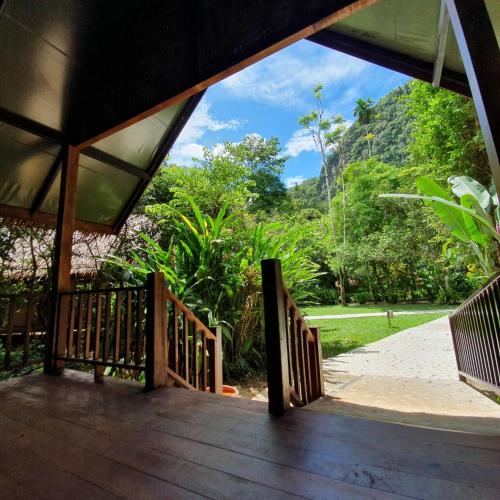 Facilities, Our Jungle House in Near Center