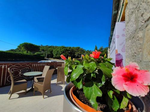 Eze Hermitage Hôtel photo 19