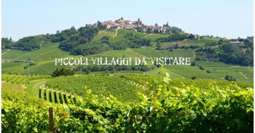 Bed & Tours Dimora di campagna